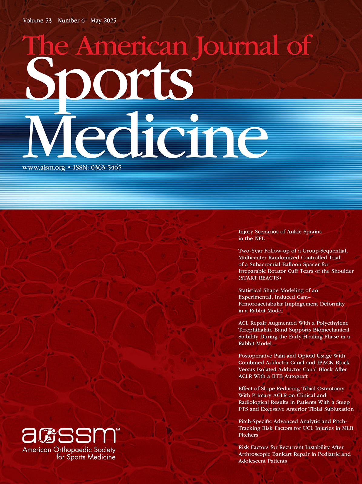 The American Journal of Sports Medicine封面