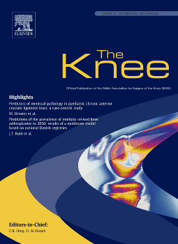 The Knee封面